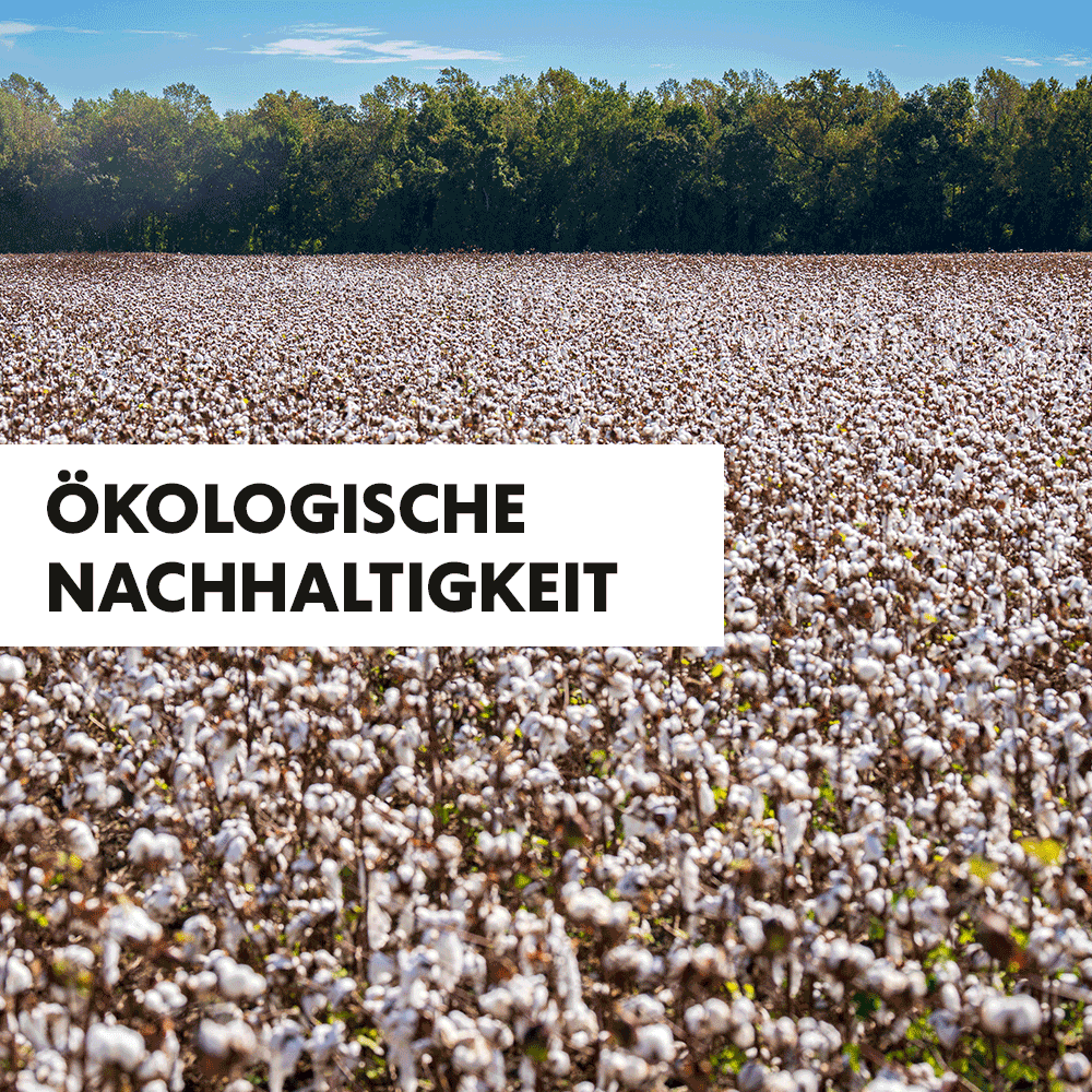 Ökologische Nachhaltigkeit